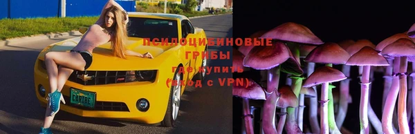 спайс Алексеевка