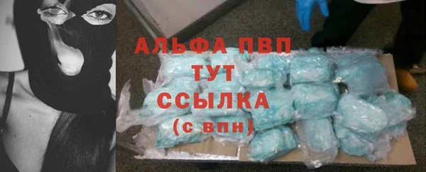 шишки Алзамай