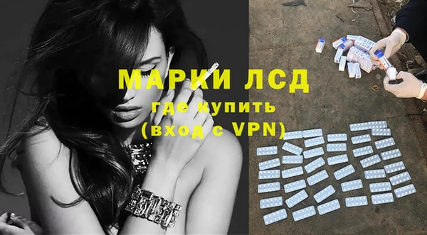 шишки Алзамай