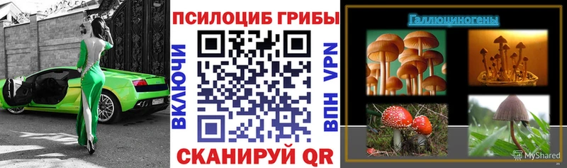 Псилоцибиновые грибы Psilocybine cubensis mega вход Любань